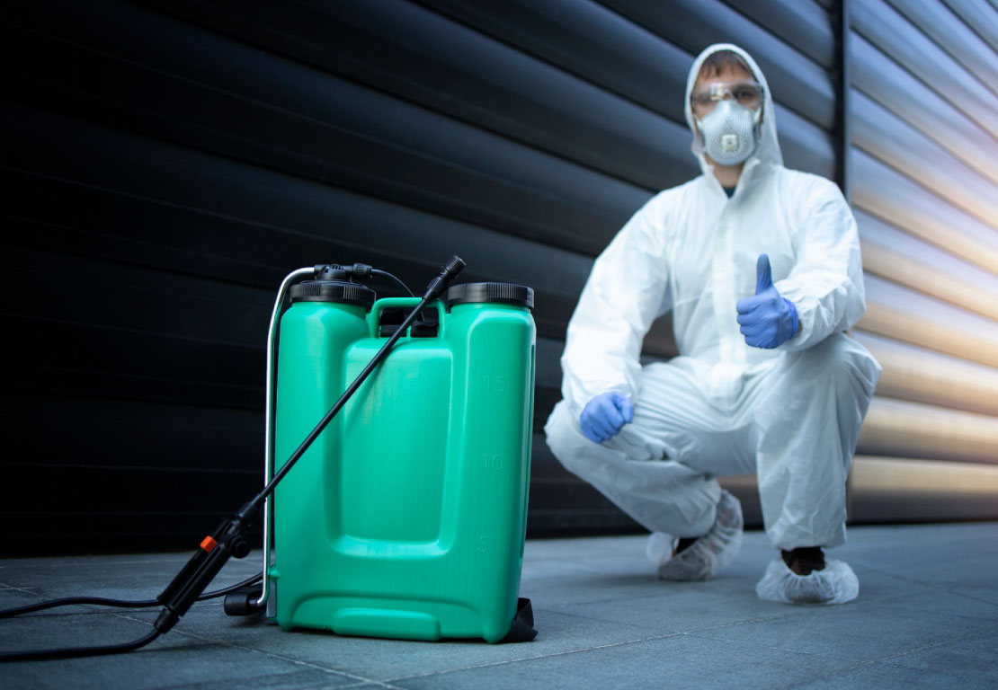 Especialistas em Dedetização e Controle de Pragas no ES